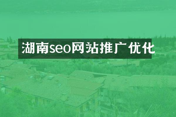 湖南seo网站推广优化