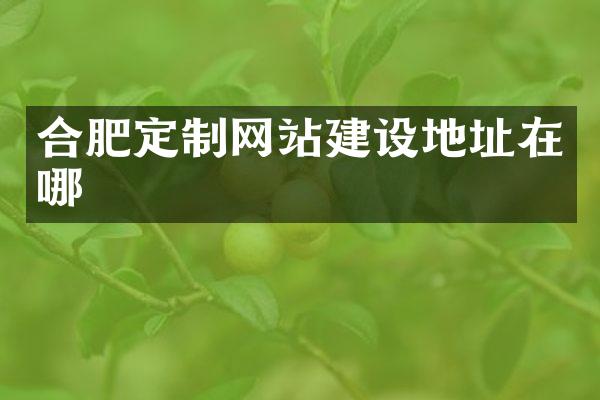 合肥定制网站建设地址在哪