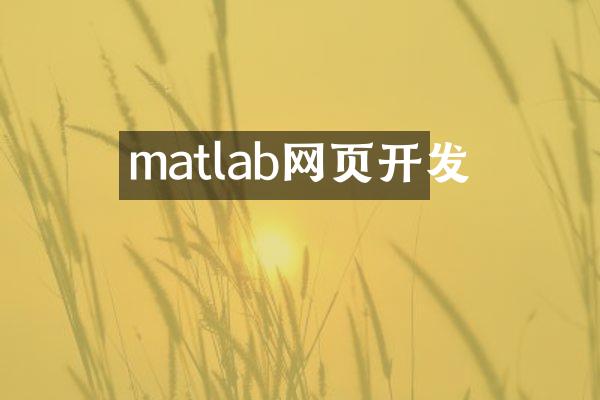 matlab网页开发