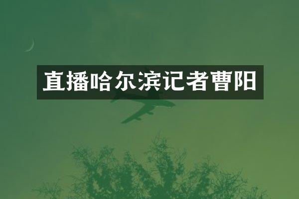 直播哈尔滨记者曹阳