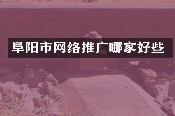 阜阳市网络推广哪家好些