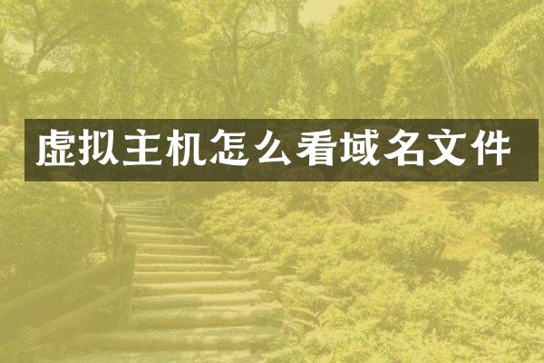 虚拟主机怎么看域名文件