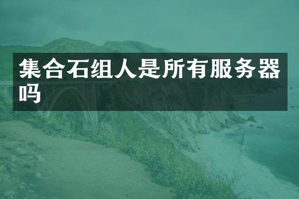 集合石组人是所有服务器吗