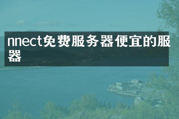 nnect免费服务器便宜的服务器