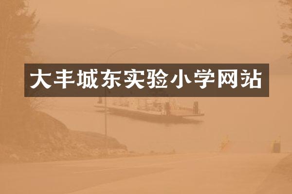 大丰城东实验小学网站