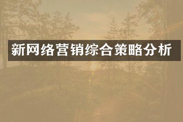新网络营销综合策略分析