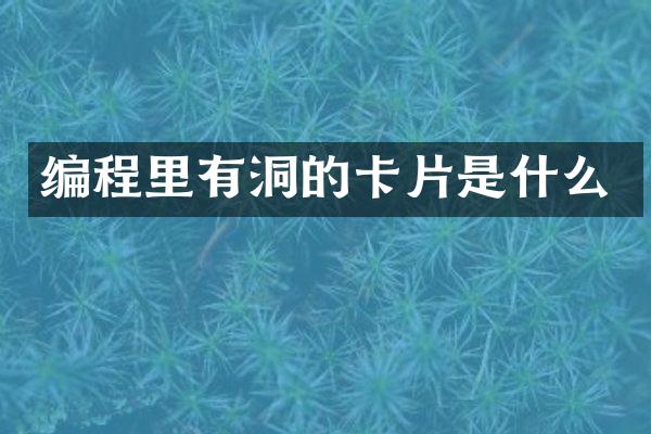 编程里有洞的卡片是什么