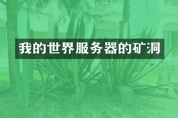 我的世界服务器的矿洞