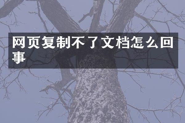 网页复制不了文档怎么回事