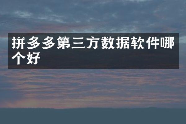 拼多多第三方数据软件哪个好
