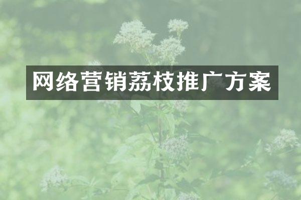 网络营销荔枝推广方案