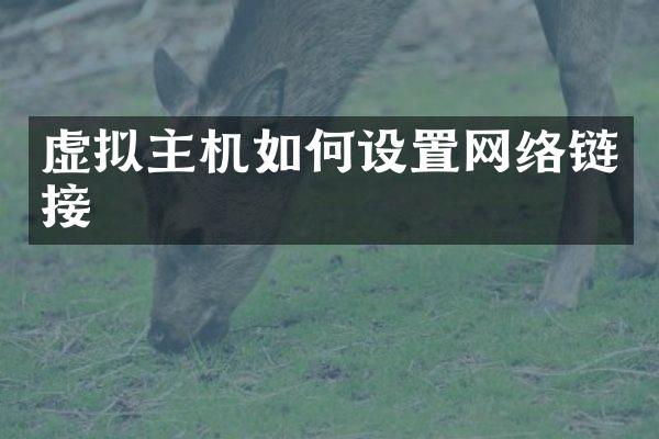 虚拟主机如何设置网络链接