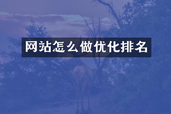 网站怎么做优化排名
