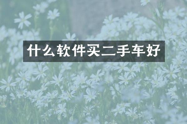 什么软件买二手车好