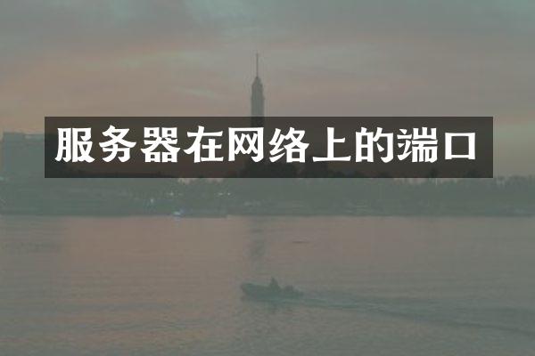 服务器在网络上的端口