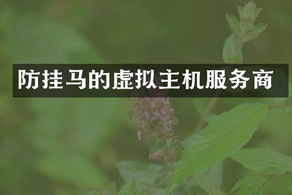 防挂马的虚拟主机服务商