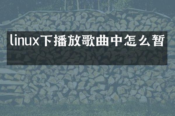 linux下播放歌曲中怎么暂停