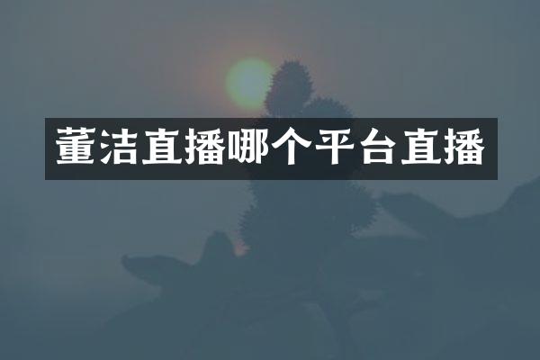 董洁直播哪个平台直播