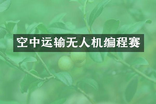空中运输无人机编程赛
