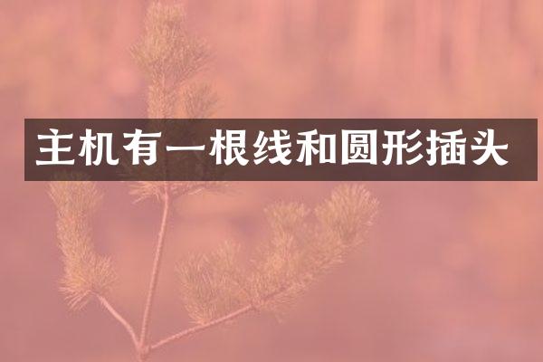 主机有一根线和圆形插头