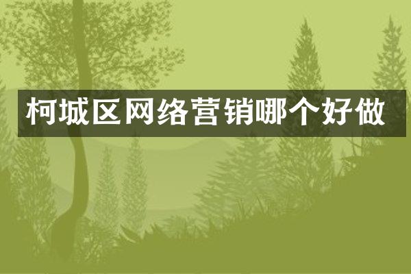 柯城区网络营销哪个好做