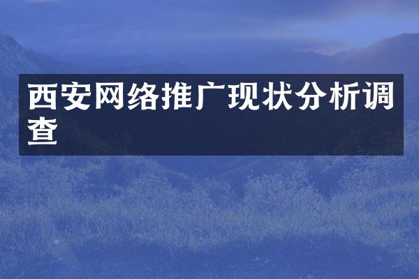 西安网络推广现状分析调查