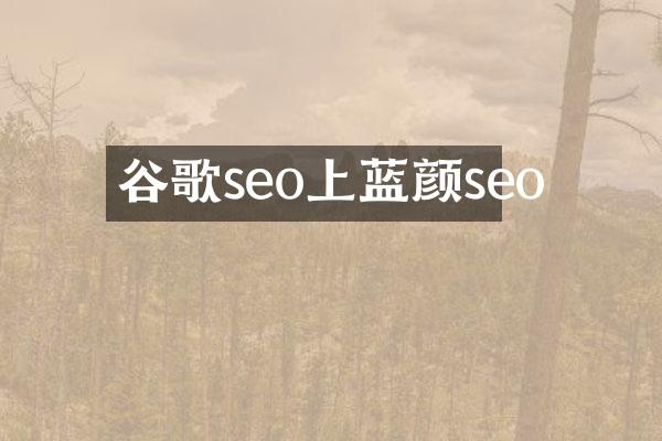 谷歌seo上蓝颜seo