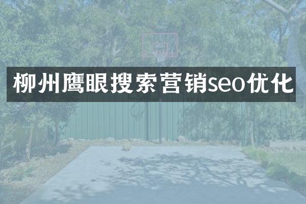 柳州鹰眼搜索营销seo优化