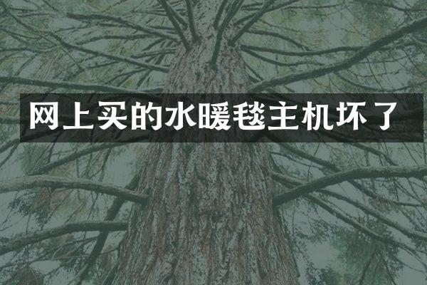 网上买的水暖毯主机坏了
