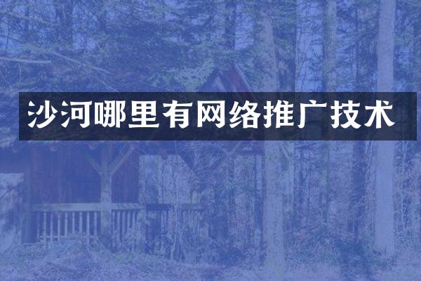 沙河哪里有网络推广技术