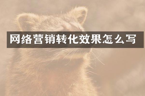网络营销转化效果怎么写