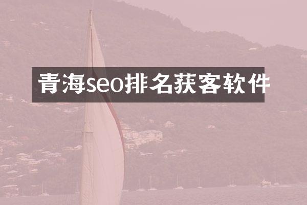 青海seo排名获客软件