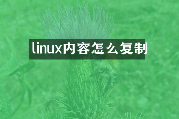 linux内容怎么复制