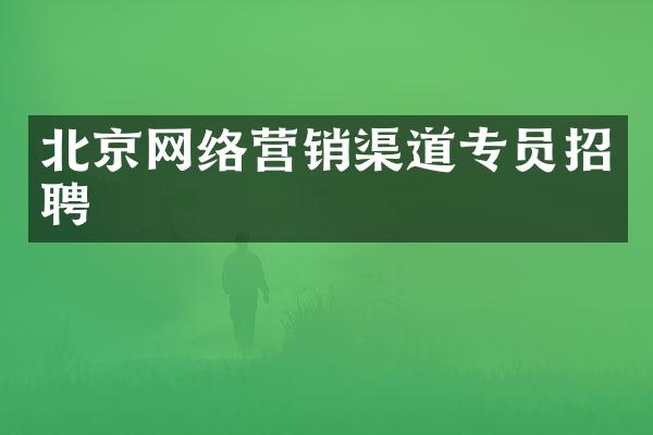 北京网络营销渠道专员招聘