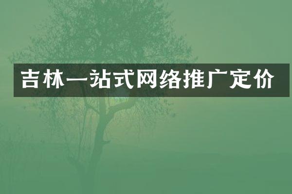 吉林一站式网络推广定价