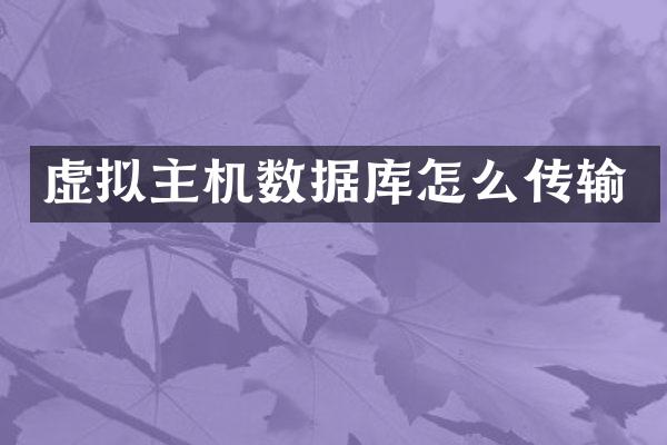 虚拟主机数据库怎么传输
