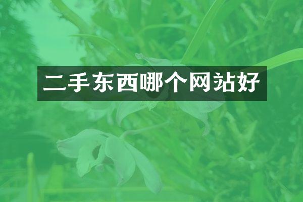 二手东西哪个网站好