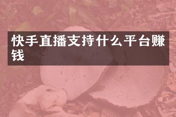 快手直播支持什么平台赚钱