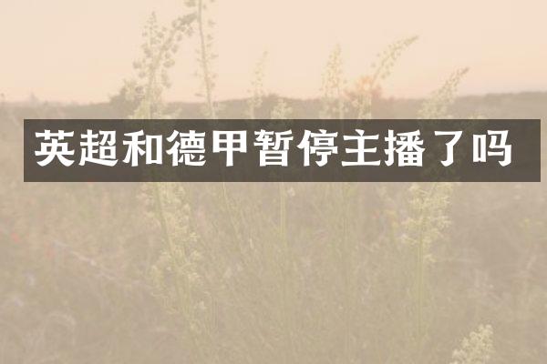 英超和德甲暂停主播了吗