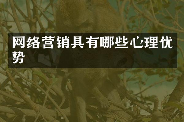 网络营销具有哪些心理优势