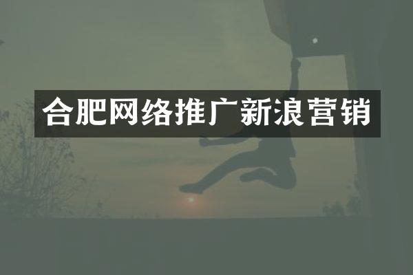 合肥网络推广新浪营销