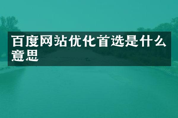 百度网站优化首选是什么意思