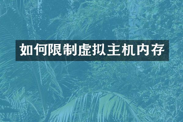 如何限制虚拟主机内存
