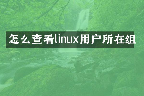 怎么查看linux用户所在组