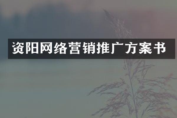 资阳网络营销推广方案书