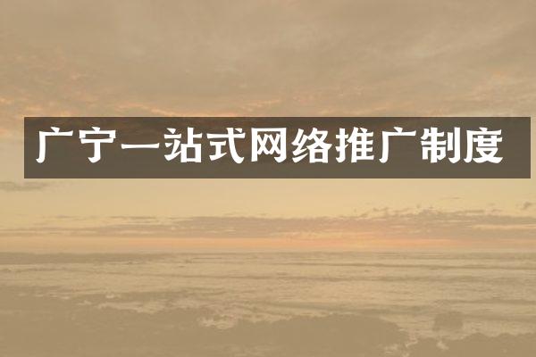 广宁一站式网络推广制度