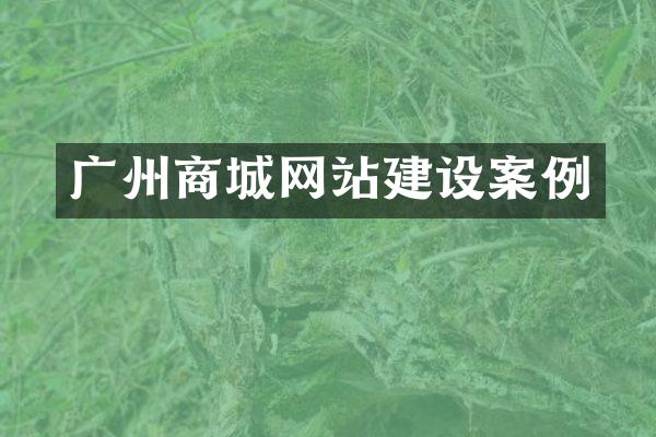 广州商城网站建设案例