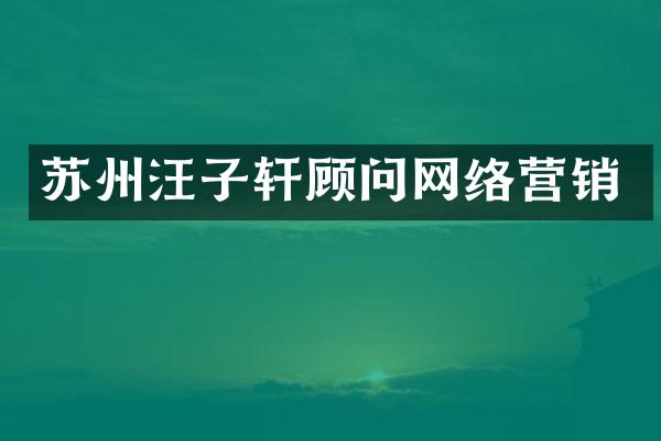 苏州汪子轩顾问网络营销
