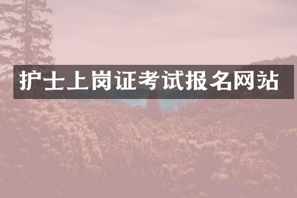 护士上岗证考试报名网站