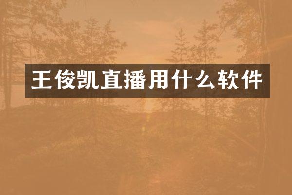 王俊凯直播用什么软件